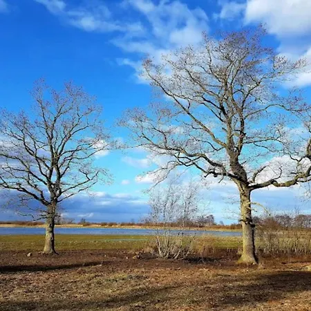 6 Person In Bogense-by Traum Casa vacanze *