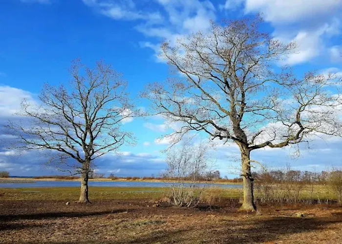 6 Person In Bogense-by Traum Casa vacanze *