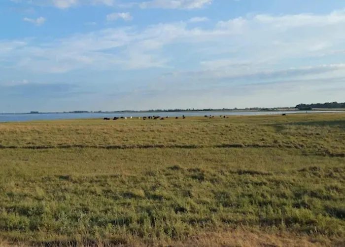 6 Person In Bogense-by Traum Casa vacanze *